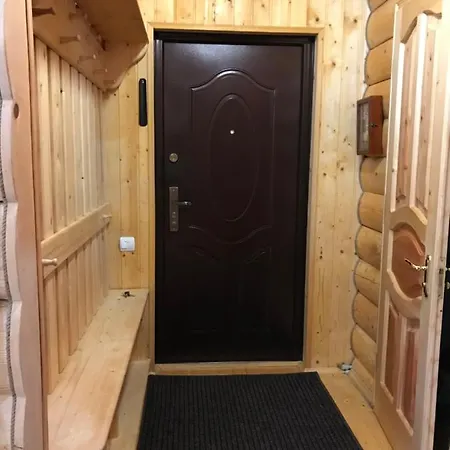карпатських гір Holiday home Novyi Mizun'