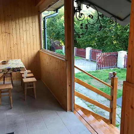 карпатських гір * Novyi Mizun'