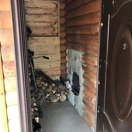 карпатських гір Holiday home Novyi Mizun'