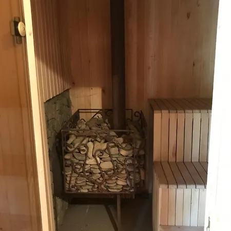 Holiday home карпатських гір Novyi Mizun'
