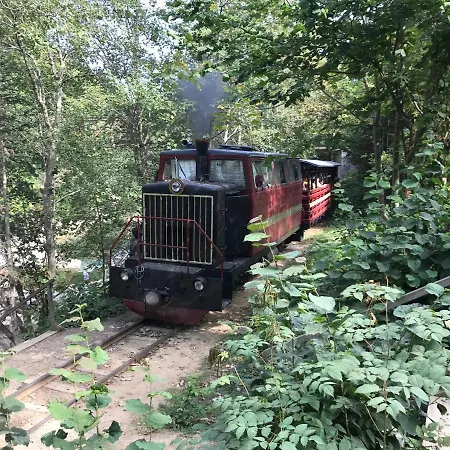 карпатських гір *