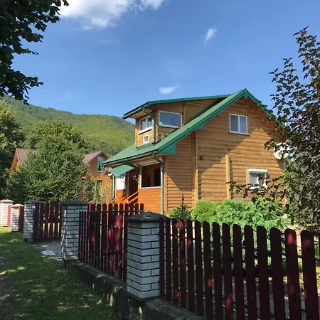 карпатських гір * Novyi Mizun'