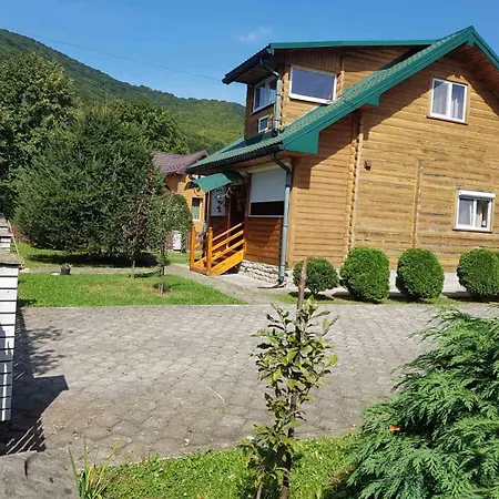карпатських гір Novyi Mizun'