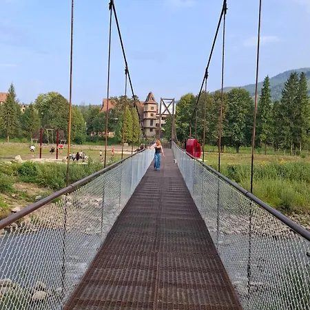 карпатських гір 度假居 Novyi Mizun'