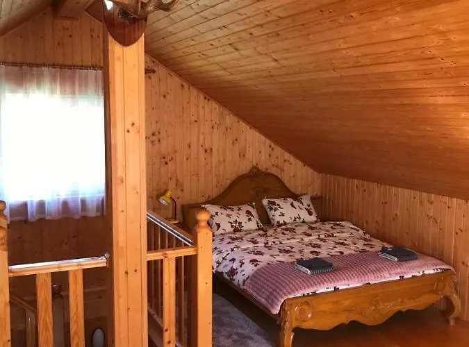 карпатських гір 度假居