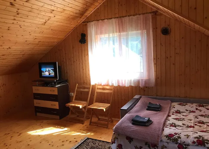 度假居 карпатських гір *