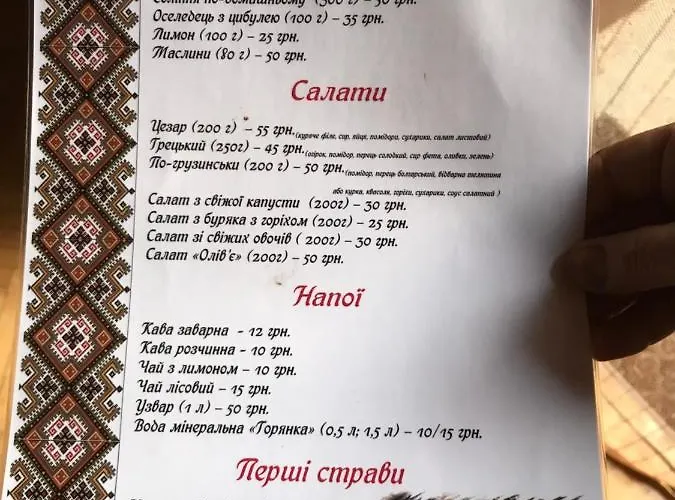 度假居 карпатських гір *