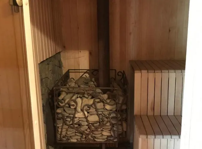 度假居 карпатських гір Novyi Mizun'