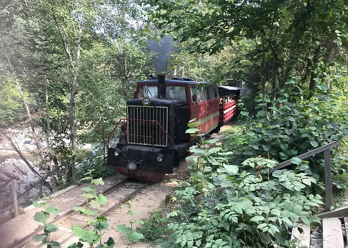 карпатських гір *