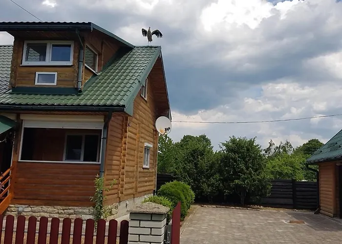 度假居 карпатських гір Novyi Mizun'