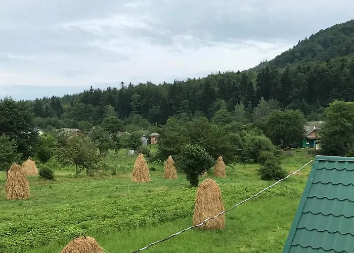 карпатських гір 度假居