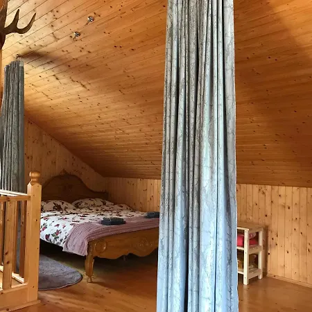 Semesterbostad карпатських гір *